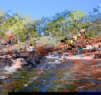Litchfield and Jumping Crocodiles Full Day Trip from Darwin - Tourism Noosa