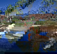 Palm Valley 4WD Tour - Tourism Noosa