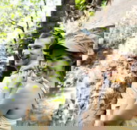 Small-Group Litchfield National Park Day Trip from Darwin - Tourism Noosa