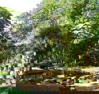 Darwin Afternoon Sightseeing Tour - Tourism Noosa