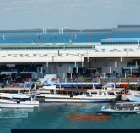 Darwin Harbour Bombing of Darwin Cruise - Tourism Noosa