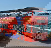 Darwin Hop-on Hop-off Bus Tour - Tourism Noosa