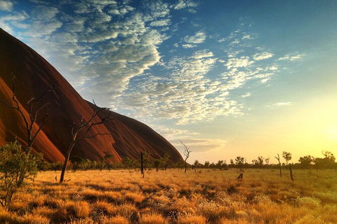 Highlights Of Uluru Including Sunrise And Breakfast - Tourism Noosa 5