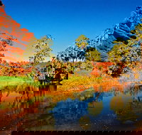 Palm Valley 4WD Day Tour - Tourism Noosa