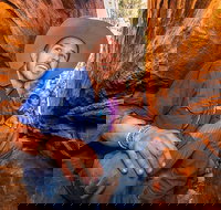 3-Day Red Centre Camping Safari from Alice Springs or Ayers Rock Including Kings Canyon - Tourism Noosa