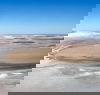 Scenic Flight Lizard Safari - Tourism Noosa