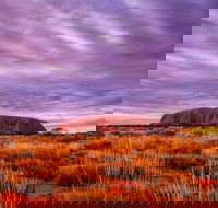 4-Day Camping Trip from Ayers Rock Including Uluru Kata Tjuta and Kings Canyon - Tourism Noosa