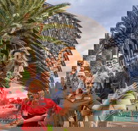 Australia Sightseeing Pass - Tourism Noosa