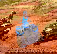 Aussie Outback Air and Land Tour Including Quad Bike Ride - Tourism Noosa