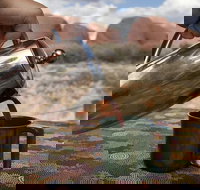 Kata Tjuta Small-Group Tour Including Sunrise and Breakfast - Tourism Noosa