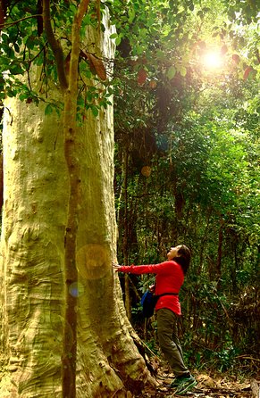 3 Day Murramarang Coast Journey From Batemans Bay With Meals And Villa Accom - Tourism Noosa 4