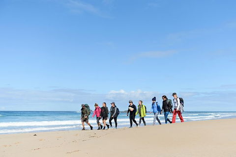 3 Day Murramarang Coast Journey From Batemans Bay With Meals And Villa Accom - Tourism Noosa 7