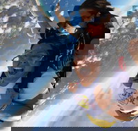 Coffs Harbour Ground Rush or Max Freefall Tandem Skydive on the Beach - Tourism Noosa