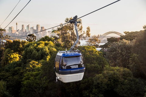 Australia Multi-City Attractions Pass - Tourism Noosa 5