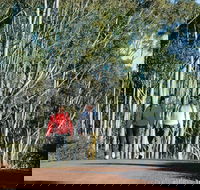 Arthur River - Tourism Noosa