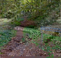 Bar Mountain circuit - Tourism Noosa