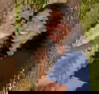 Billabong Sanctuary - Tourism Noosa