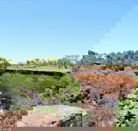 Bladensburg National Park - Tourism Noosa