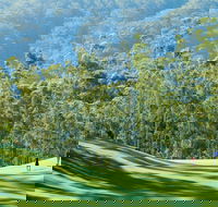 Bonville Golf Resort - Tourism Noosa