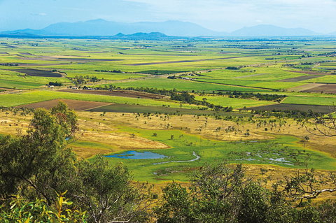 Burdekin - Tourism Noosa 1