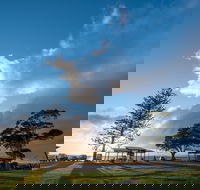 Cleveland Nandeebie/Indillie - Tourism Noosa