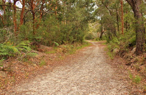 Daleys Point Walking Track - Tourism Noosa 0