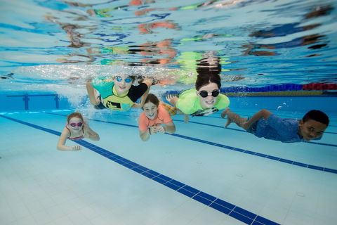 East Maitland Aquatic Centre - Tourism Noosa 1