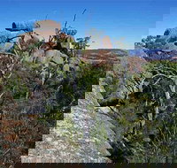 Evans Crown Nature Reserve - Tourism Noosa