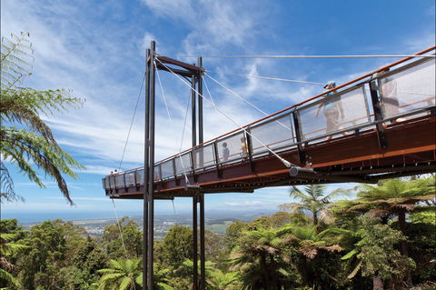 Forest Sky Pier, Sealy Lookout - Tourism Noosa 0