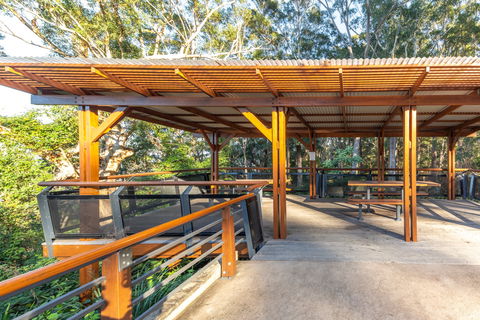Forest Sky Pier, Sealy Lookout - Tourism Noosa 1