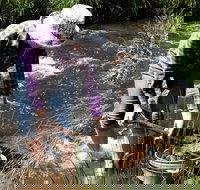 Fossicking - Tourism Noosa