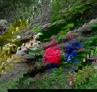 Grand Strzelecki Track - Tourism Noosa