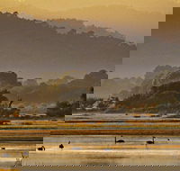 Greens Beach - Tourism Noosa