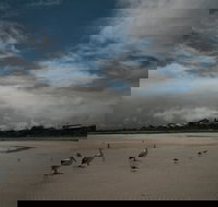 Hardwicke Bay - Tourism Noosa