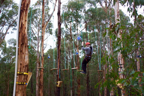 Kinglake Forest Adventures - Tourism Noosa 0