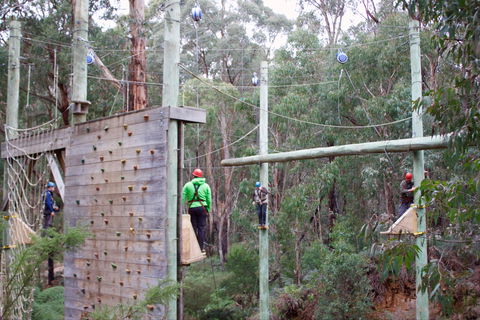 Kinglake Forest Adventures - Tourism Noosa 1