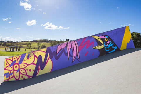 Kirkham Skate Park - Tourism Noosa 1