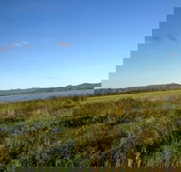 Lakeland - Tourism Noosa