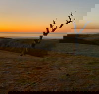 Lessismore Farm Afternoon Farmer - Tourism Noosa