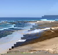 Little Shelley - Tourism Noosa