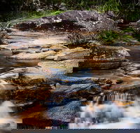 Mothar Mountain Rockpools - Tourism Noosa