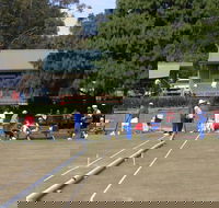 Nowra Croquet Club - Tourism Noosa