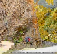 Old Great North Road - World Heritage Walk - Tourism Noosa