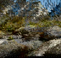 Pallaibo walking track - Tourism Noosa