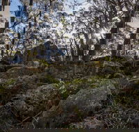 Pheasants Peak Walking Track - Tourism Noosa