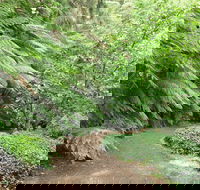 Pirianda Gardens - Tourism Noosa