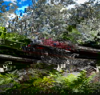 Puffing Billy Railway - Tourism Noosa