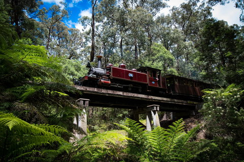 Puffing Billy Railway - Tourism Noosa 0