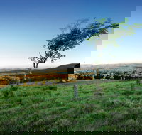 Ravensbourne National Park - Tourism Noosa