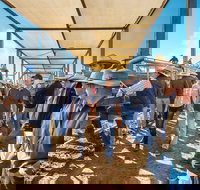 Roma - Tourism Noosa